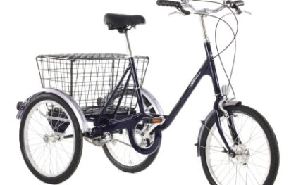 PASHLEY PICADOR